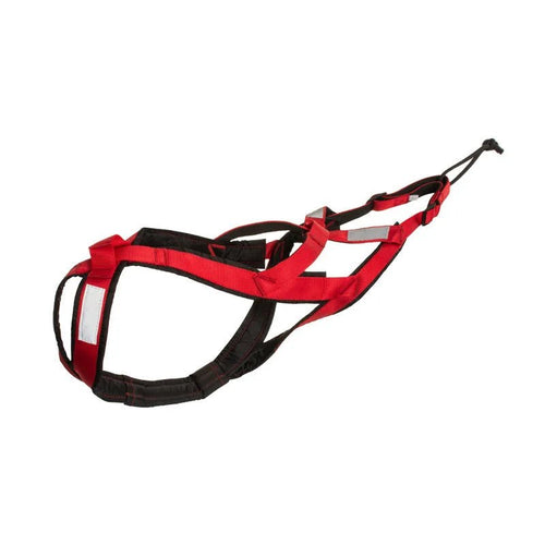 Alaskan Husky Dog Harness & Leash - Alpha Tails