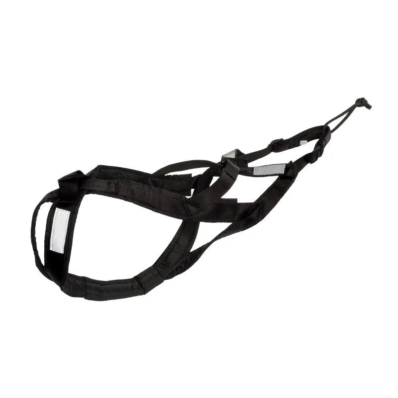 Alaskan Husky Dog Harness & Leash - Alpha Tails