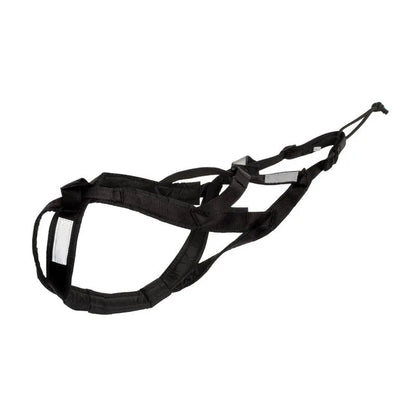 Alaskan Husky Dog Harness & Leash - Alpha Tails