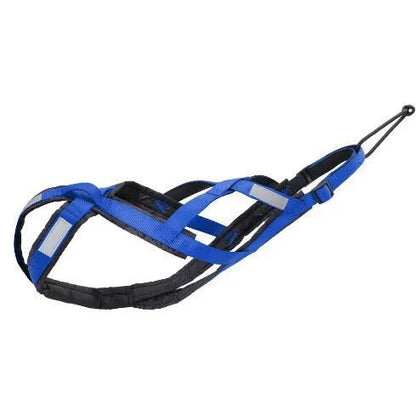 Alaskan Husky Dog Harness & Leash - Alpha Tails