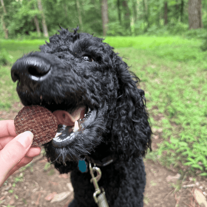 All Natural Beef Chips For Pets - Alpha Tails