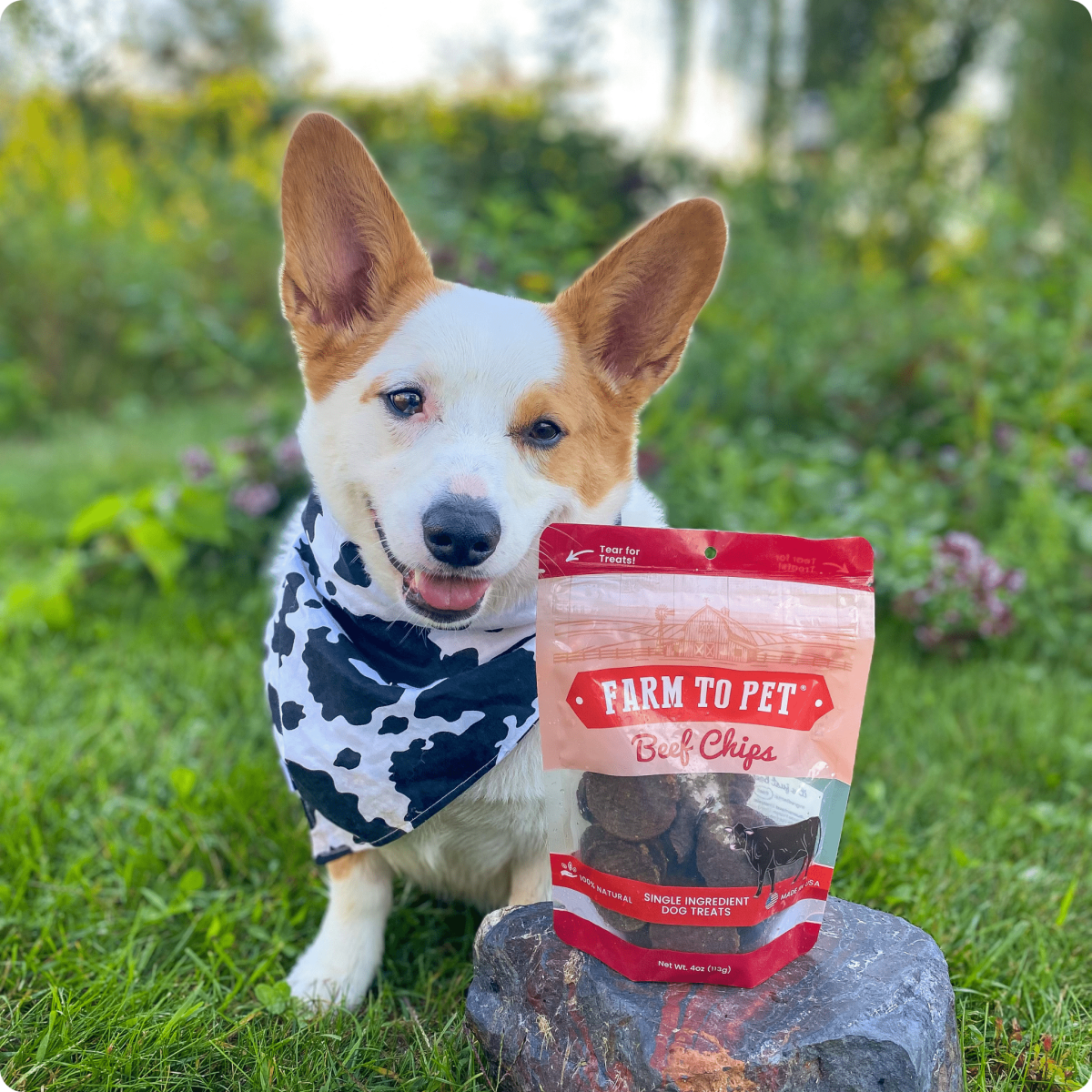 All Natural Beef Chips For Pets - Alpha Tails