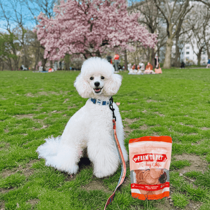 All Natural Turkey Chips for Pets - Alpha Tails