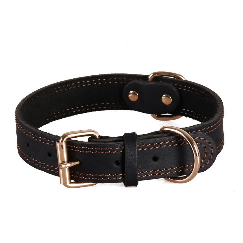 Genuine Leather Dog Collar - Alpha Tails