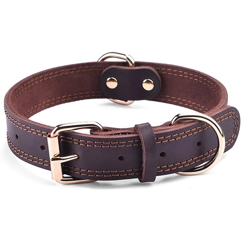 Genuine Leather Dog Collar - Alpha Tails