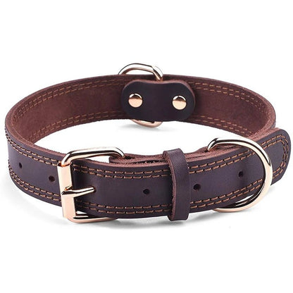 Genuine Leather Dog Collar - Alpha Tails