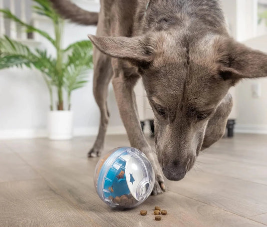 IQ Dog Treat Dispensing Toy - Alpha Tails