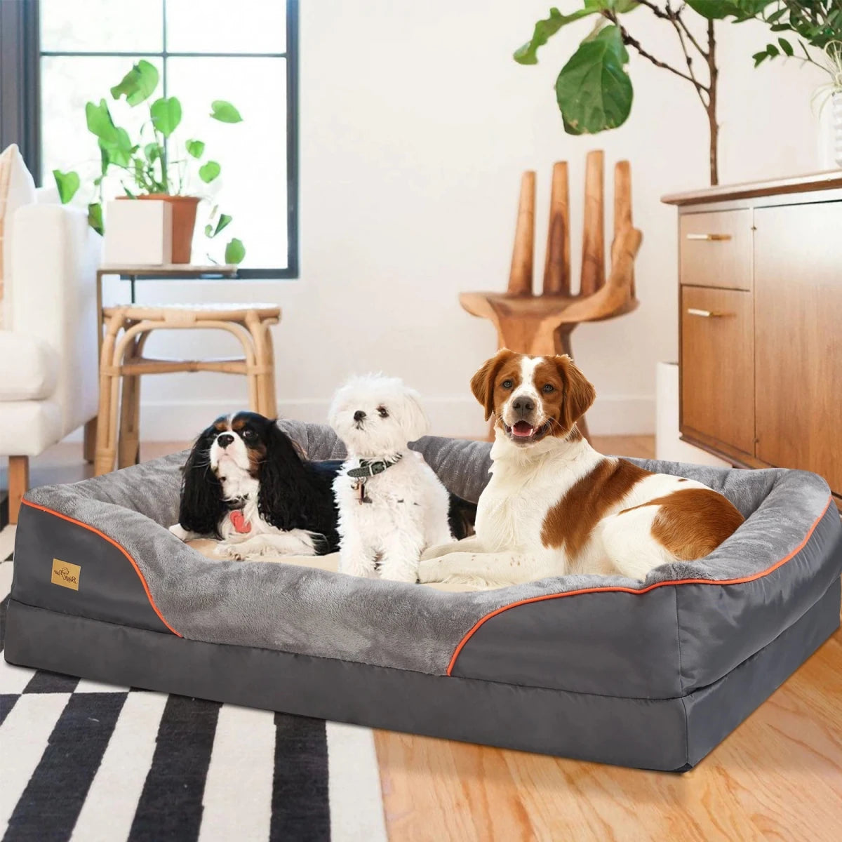 Orthopedic Foam Dog Bed - Alpha Tails