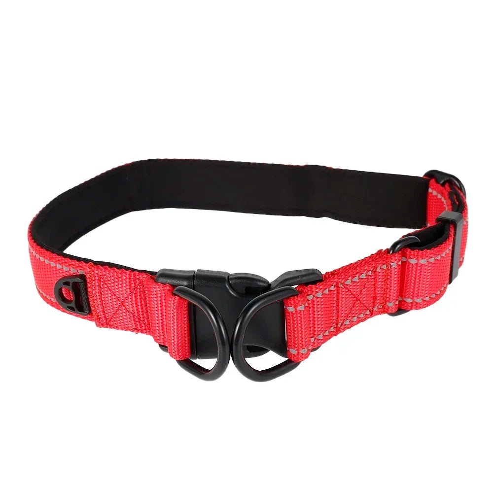 Reflective Nylon Dog Collar - Alpha Tails