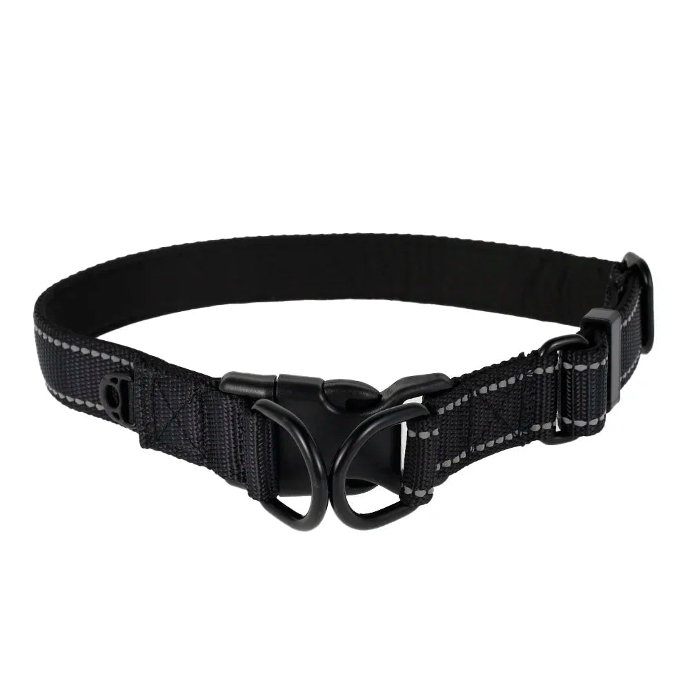 Reflective Nylon Dog Collar - Alpha Tails