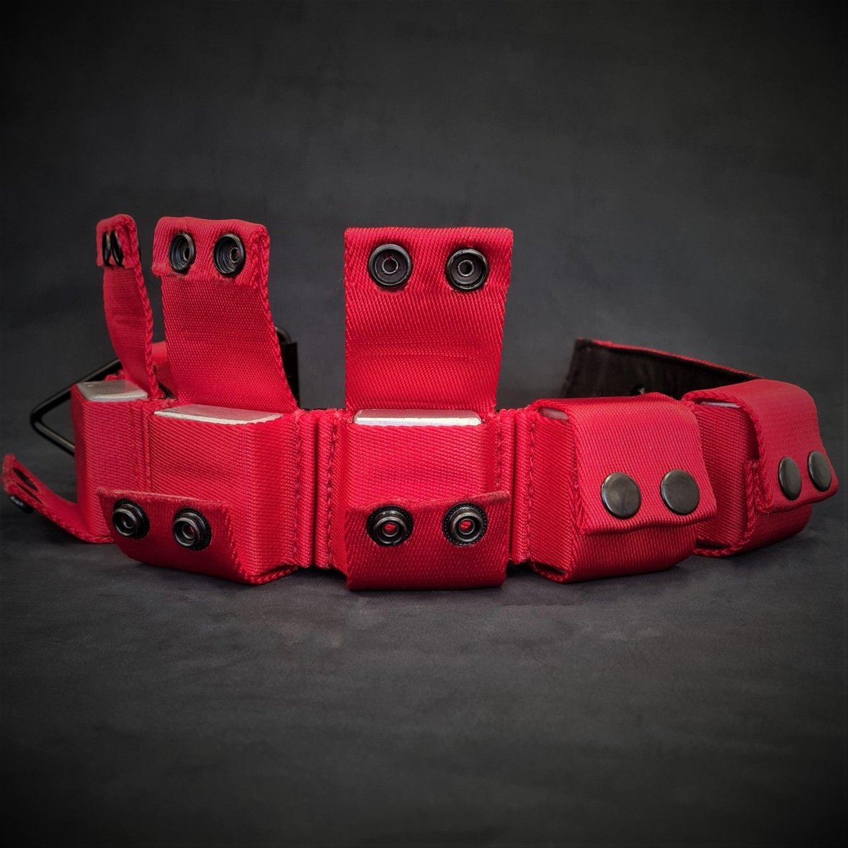 Weighted Dog Training Collar - Alpha Tails