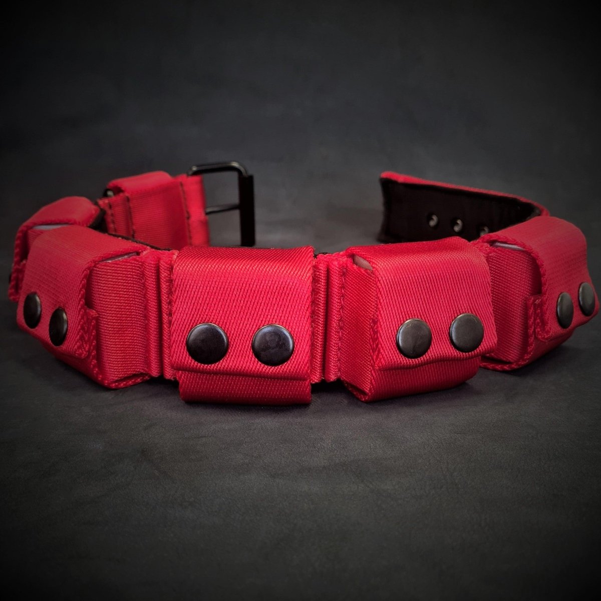 Weighted Dog Training Collar - Alpha Tails