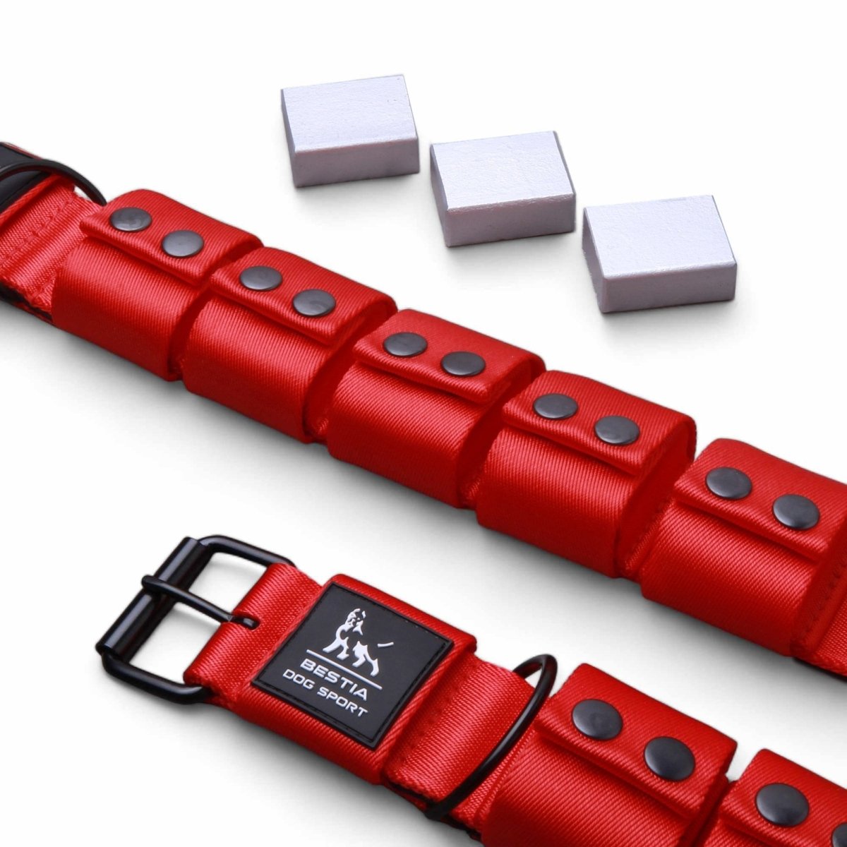 Weighted Dog Training Collar - Alpha Tails