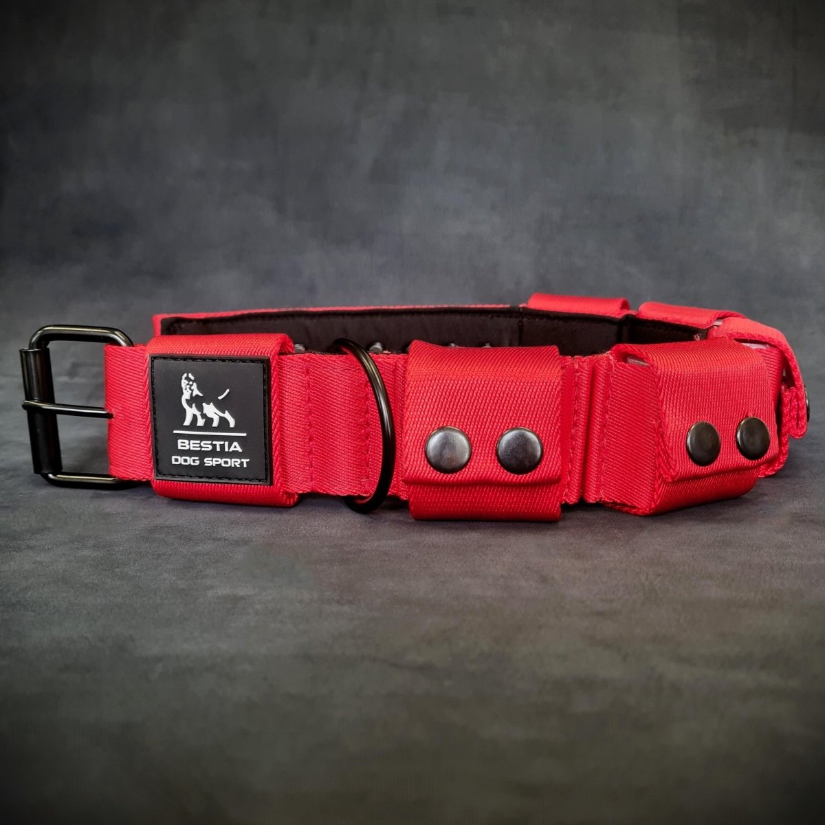 Weighted Dog Training Collar - Alpha Tails