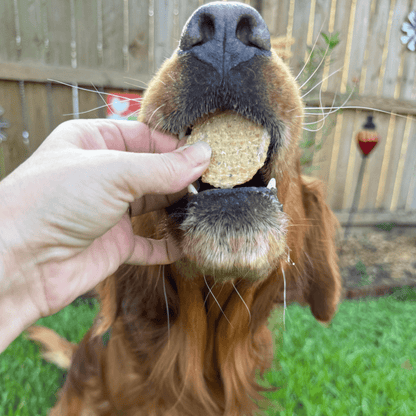 Wild - Caught Fish Chips For Pets - Alpha Tails